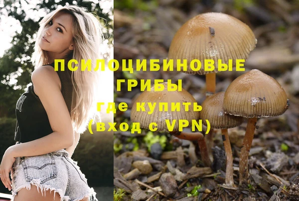 СК Белокуриха