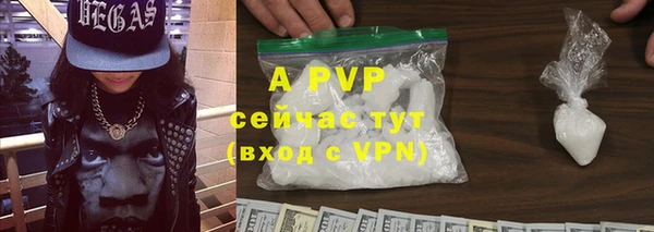 СК Белокуриха