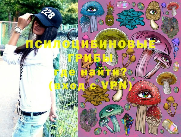 крисы Белоозёрский