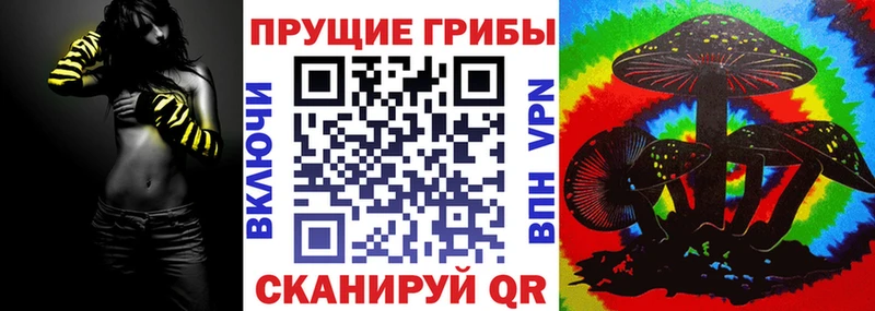 KRAKEN ссылки  Севск  Псилоцибиновые грибы мицелий  где продают  