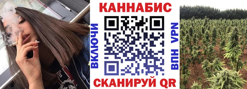 купить наркотики цена  blacksprut онион  Каннабис сатива  Севск 